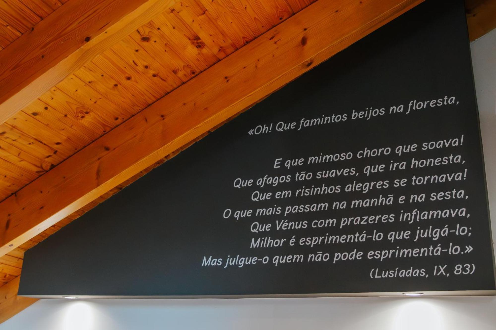 Casa Luis De Camoes - Boutique & Literary House Pensionat Santar Exteriör bild